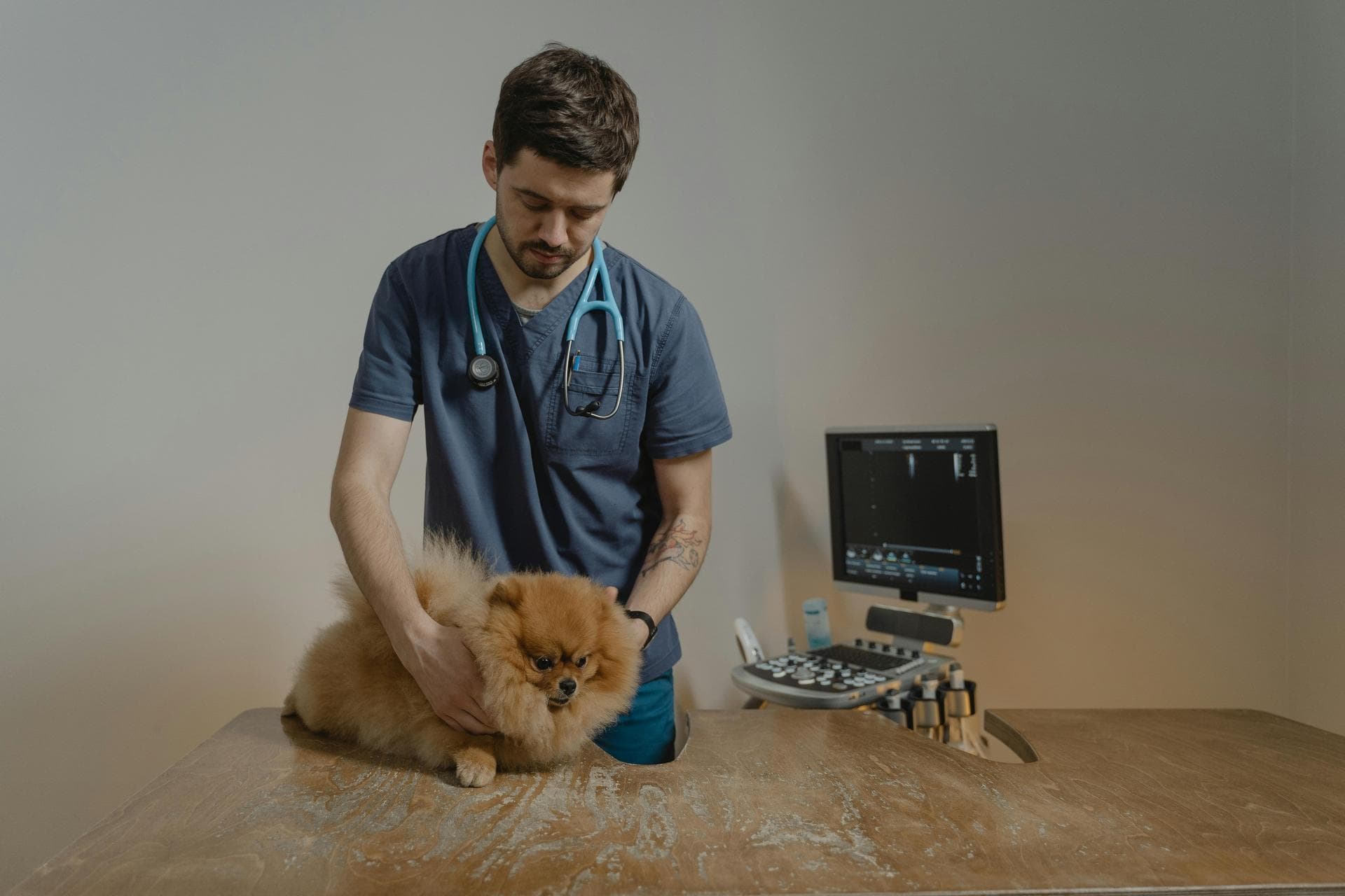 Farm & Large-Animal Vets near Nashua